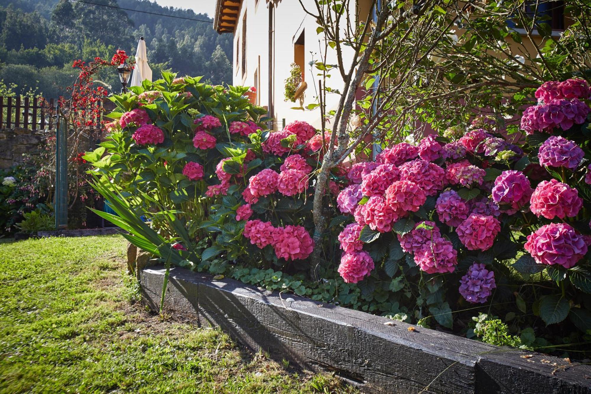 Casa Rural Casa Capion Villaviciosa  Esterno foto